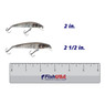 Max4 Micro Minnow color Smallie Brown in both sizes (2 in., 2 1/2 in.) above a 6 inch FishUSA ruler