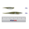 Strike King Spotlight Shim-E Minnow color Slick in both sizes (3 in., 5 in.) above a 6 inch FishUSA ruler
