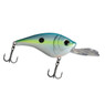 WalleyeX Predator Crankbait color Tropic