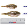 Berkley MaxScent Flux-Gill color Bluegill in both sizes (3.5 in., 6.3 in.) above a 6 inch FishUSA ruler