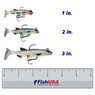 Storm Wildeye Live Series Swimbait color Minnow in all sizes (1 in., 2 in., 3 in.) above a 6 inch FishUSA Ruler
