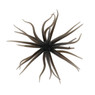 Queen Tackle Porcupine Ball Urchin Bait color Black