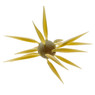 Hideup Coike Fish Elastomer L Urchin Bait color Watermelon