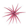 Berkley PowerBait MaxScent 'Moeba Urchin Bait color Mimizu