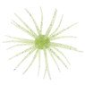 Sea Star Star Burst Urchin Bait color Watermelon