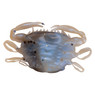 Berkley Gulp! Saltwater Peeler Crab color Molting