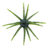 Big Bite Baits Orbix Urchin Bait color Watermelon Seed