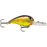 Storm Wiggle Wart MadFlash Crankbait color Honey Mustard