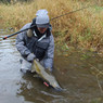 Lamiglas Redline HS CenterSpin Float Rod lifestyle image