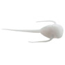 13 Fishing Paralyzer Superior Soft Plastics color White No. 1