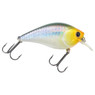 Lucky Craft LC Crankbait color MS Impulse Shad