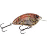 SPRO Little John 50 Crankbait color Rusty Gold