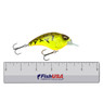 Megabass Sonicside color Chartreuse Dust with FishUSA ruler for size comparison