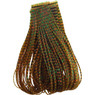 Wapsi Perfectly Barred Sili Legs color Pumpkin