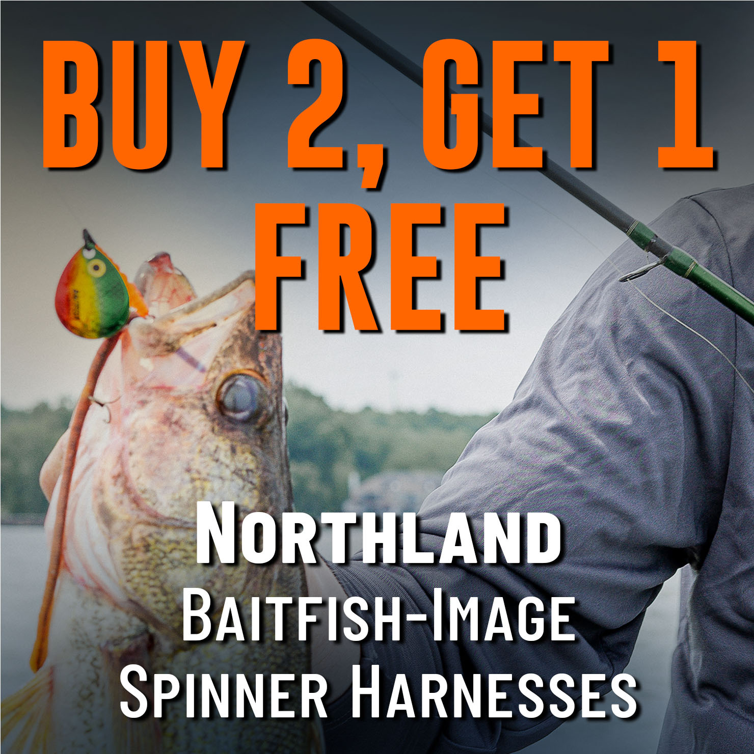 Buy 2, Get 1 Free Northland Baitfish-Image Spinner Harnesses