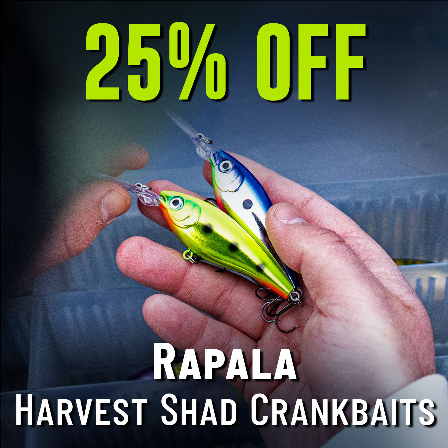 25% Off Rapala Harvest Shad Crankbaits