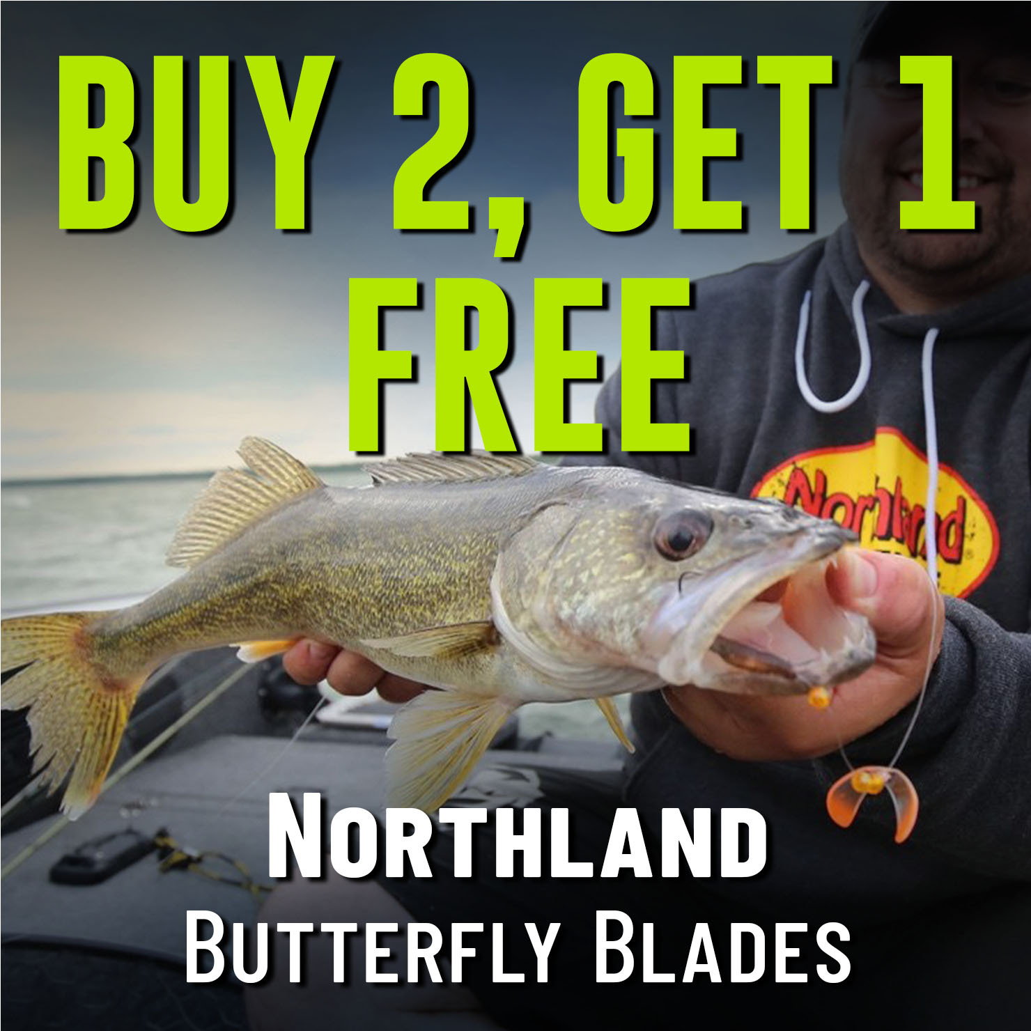 Buy 2, Get 1 Free Northland Butterfly Blades