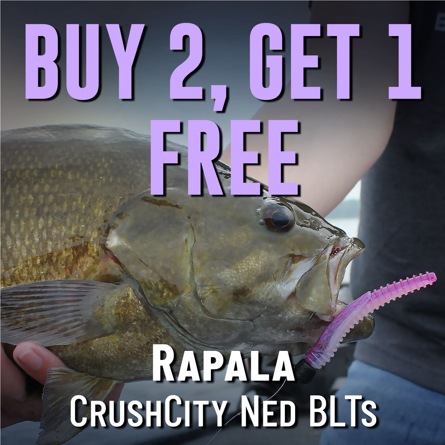 Buy 2, Get 1 Free Rapala CrushCity Ned BLTs