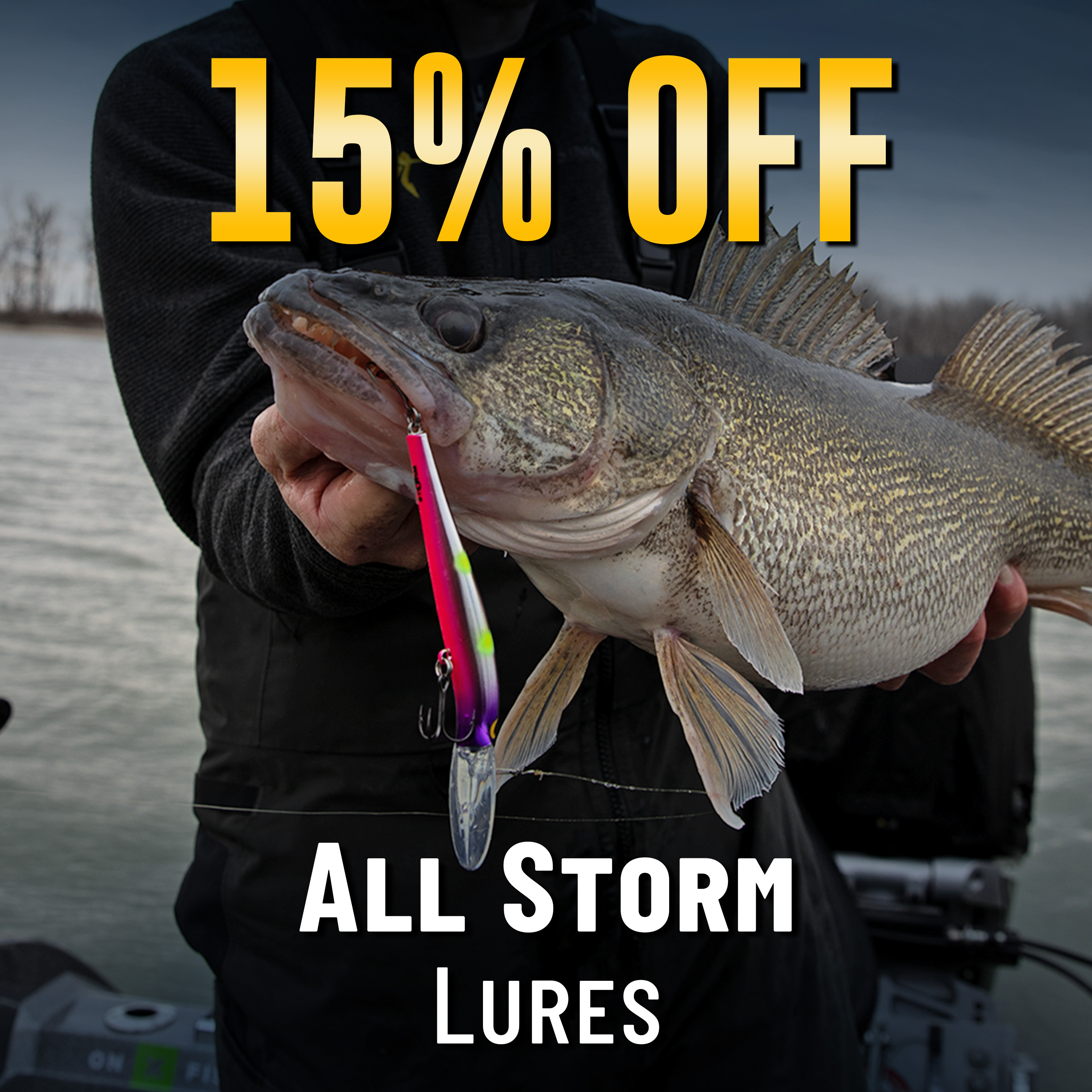 15% Off All Storm Lures