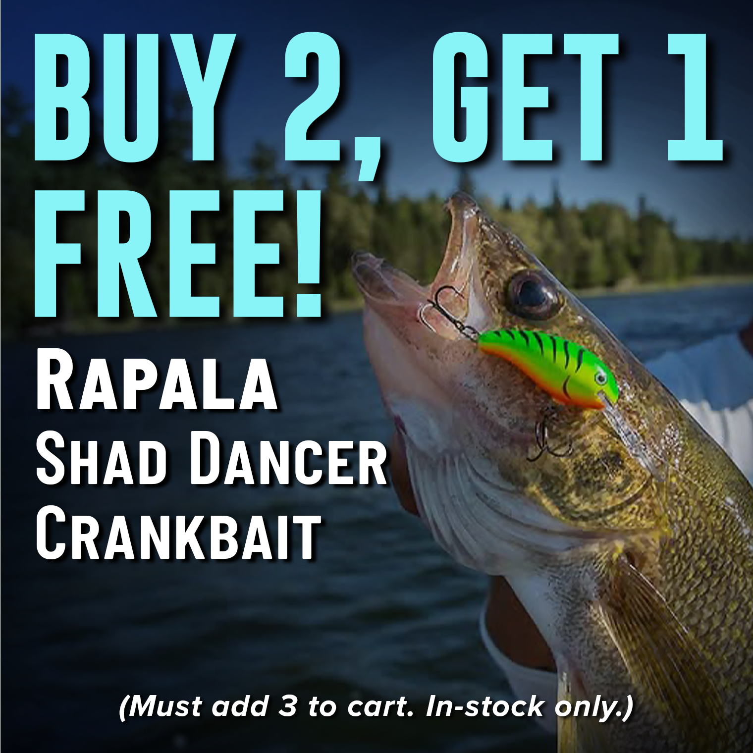 Buy 2, Get 1 FREE! Rapala Shad Dancer Crankbaits (Must add 3 to cart. In-stock only.)