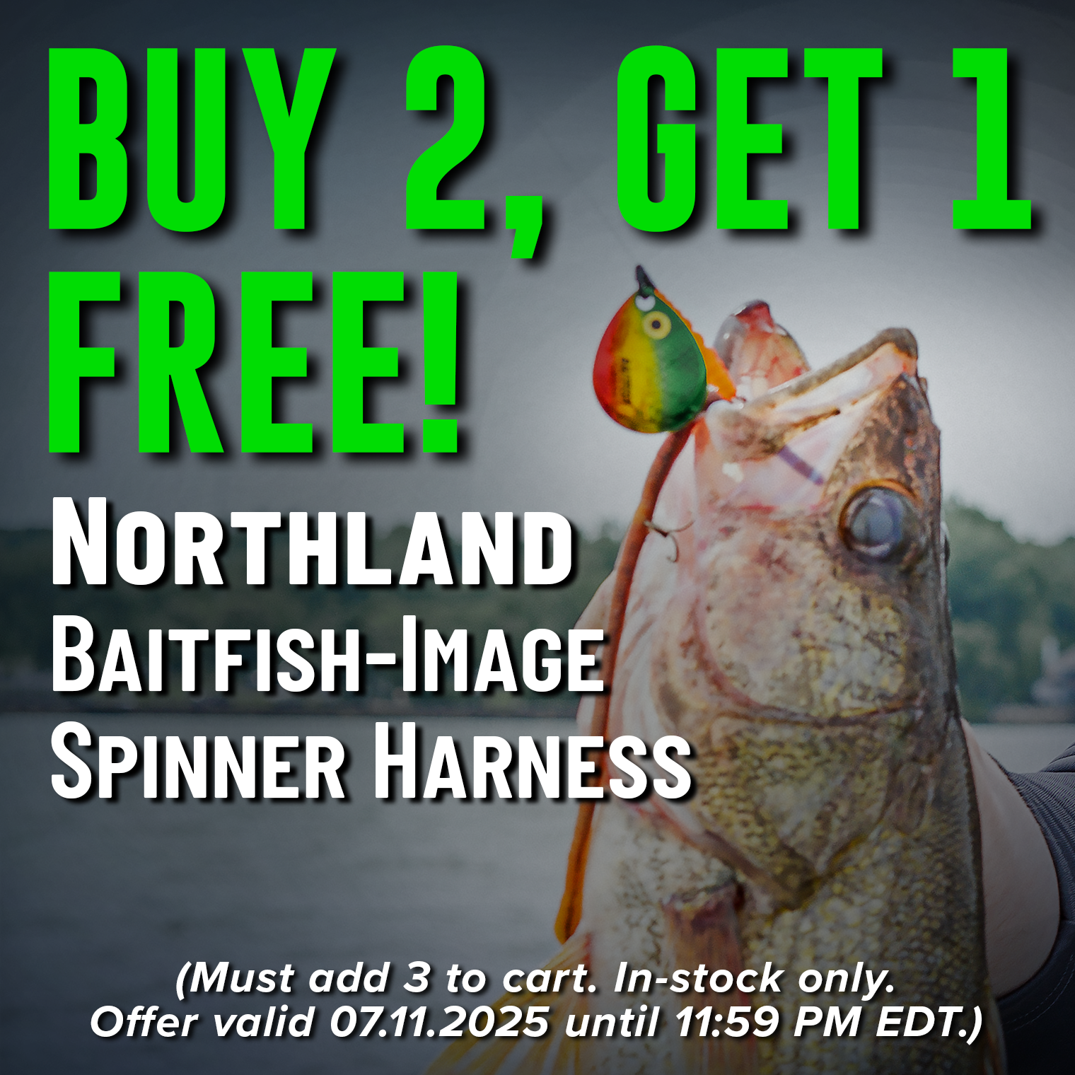 "Buy 2, Get 1 Free Northland Baitfish-Image Spinner Harness Shop Now (Must add 3 to cart. In-stock only. Offer valid 07.11.2025 until 11:59 PM EDT.)"
