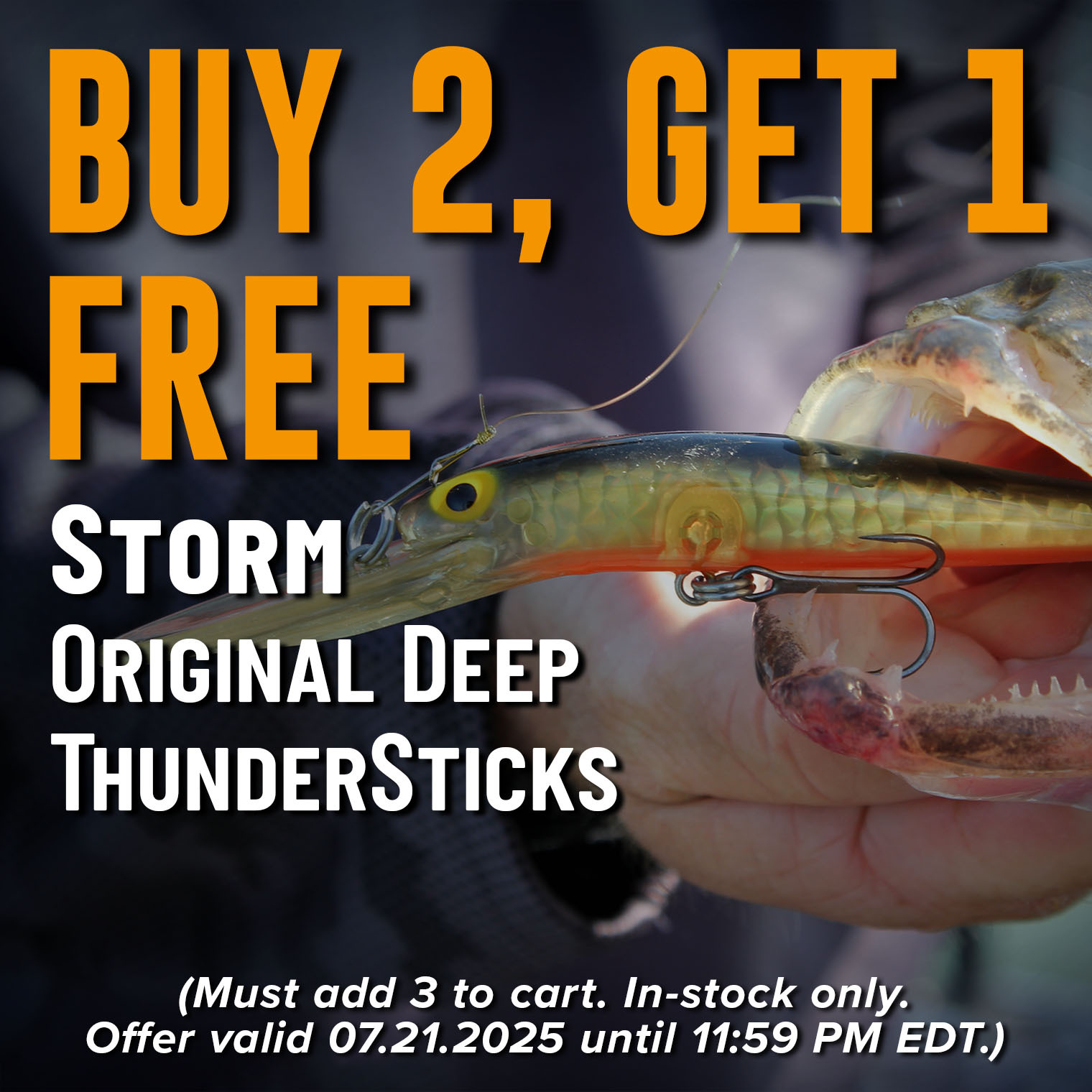 Buy 2, Get 1 Free Storm Original Deep ThunderSticks Shop Now (Must add 3 to cart. In-stock only. Offer valid 07.21.2025 until 11:59 PM EDT.)