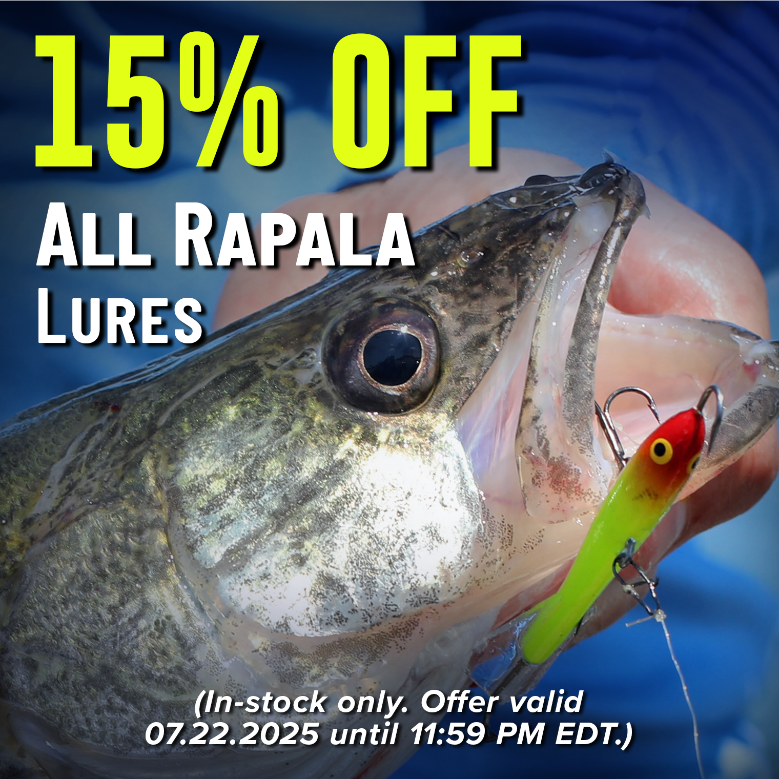15% Off All Rapala Lures (In-stock only. Offer valid 07.22.2025 until 11:59 PM EDT.)