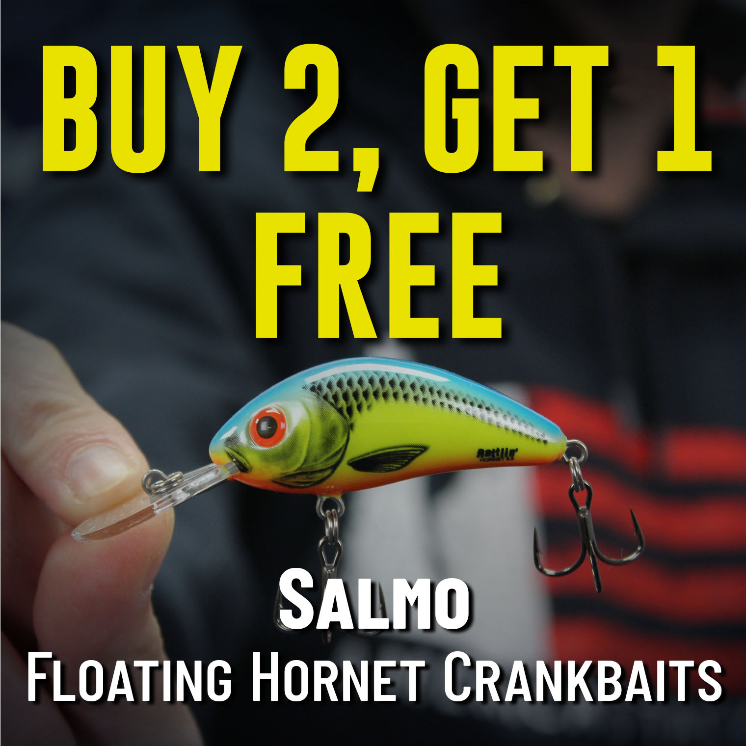 Buy 2, Get 1 Free Salmo Floating Hornet Crankbaits Shop Now (Must add 3 to cart. In-stock only. Offer valid 08.05.2025 until 11:59 PM EDT.)