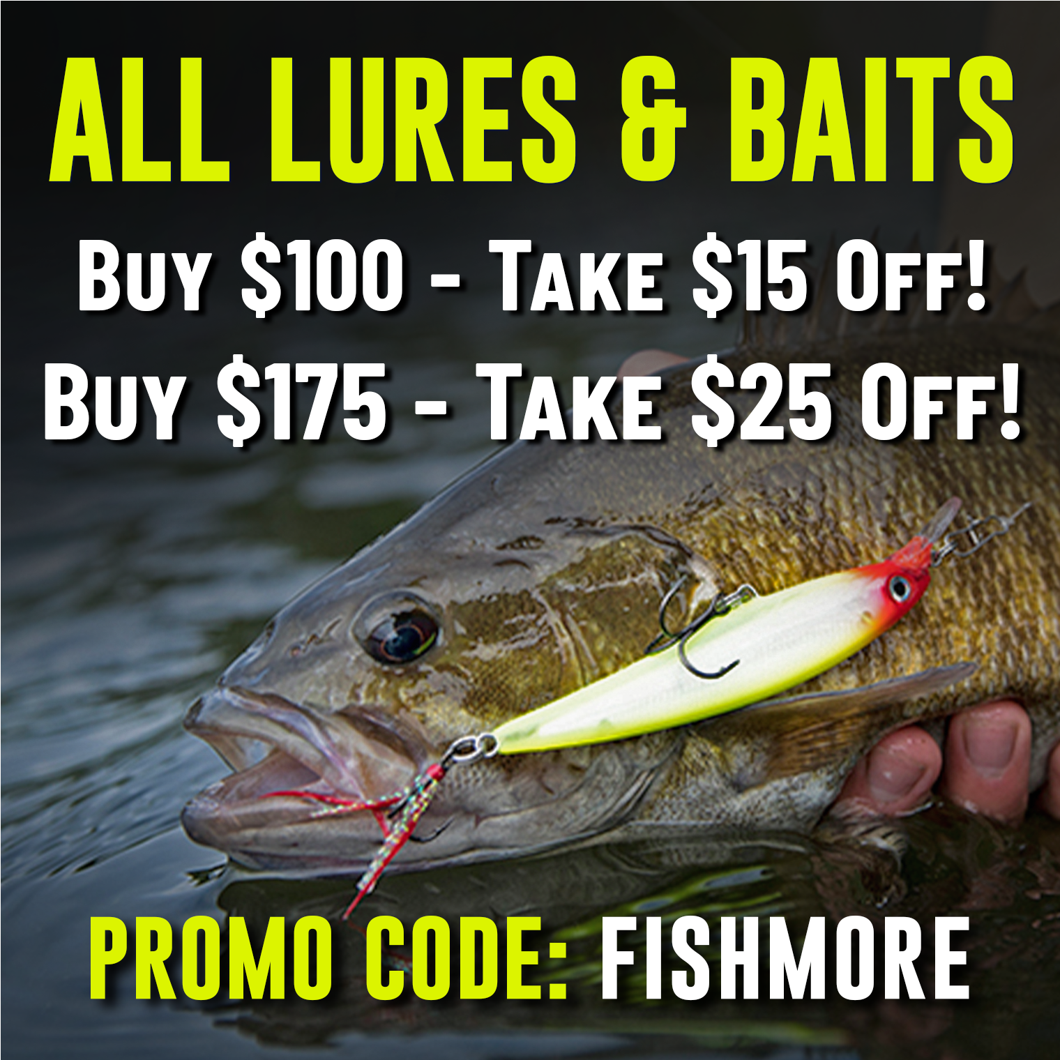 Buy more, save more on all Lures & Baits.