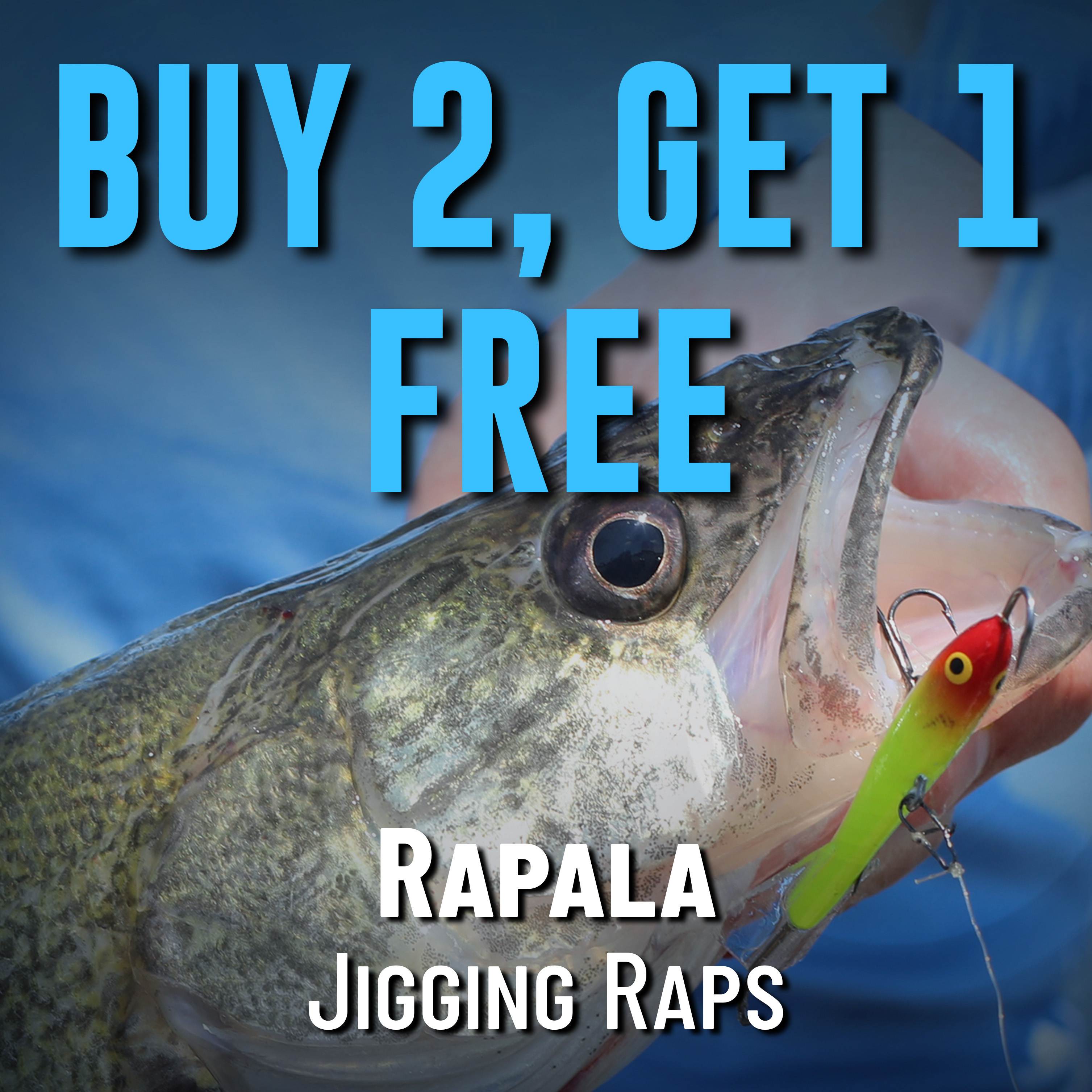 Buy 2, Get 1 Free Rapala Jigging Raps