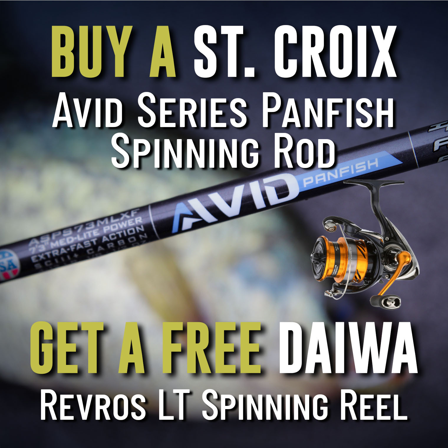 Buy a St. Croix Avid Series Panfish Spinning Rod Get a Free Daiwa Revros LT Spinning Reel