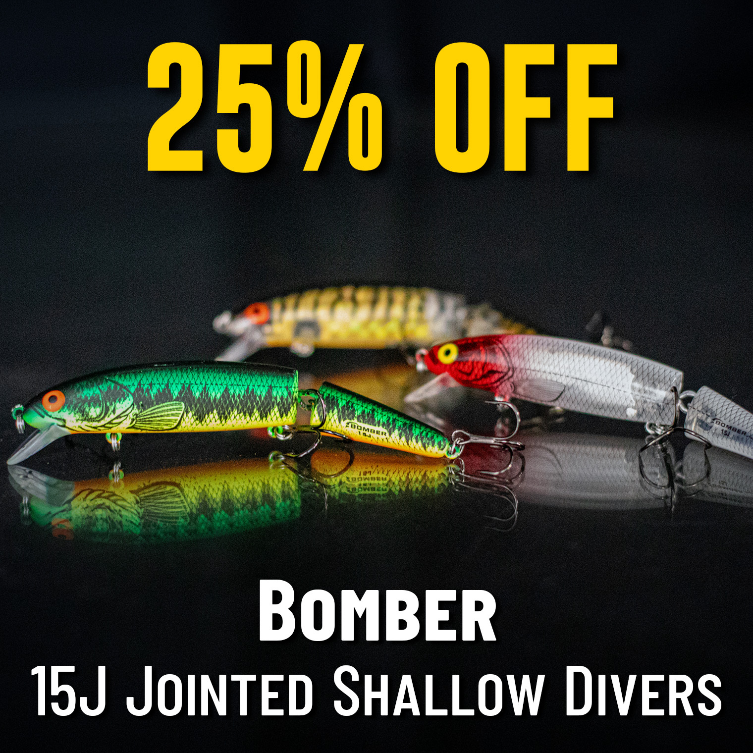 25% Off  Bomber 15J Jointed Shallow Divers