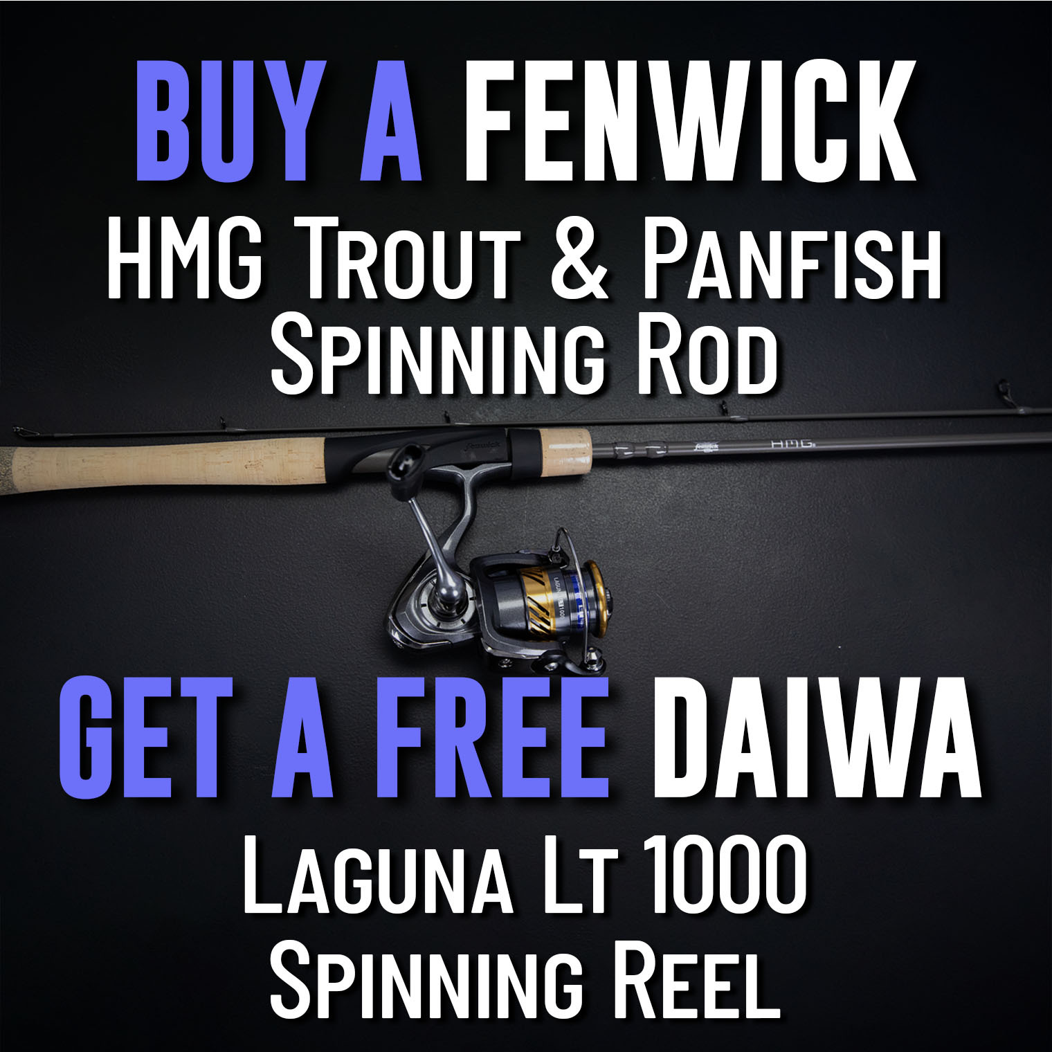 Buy a Fenwick HMG Trout & Panfish Spinning Rod Get a Free Daiwa Laguna LT Spinning Reel 