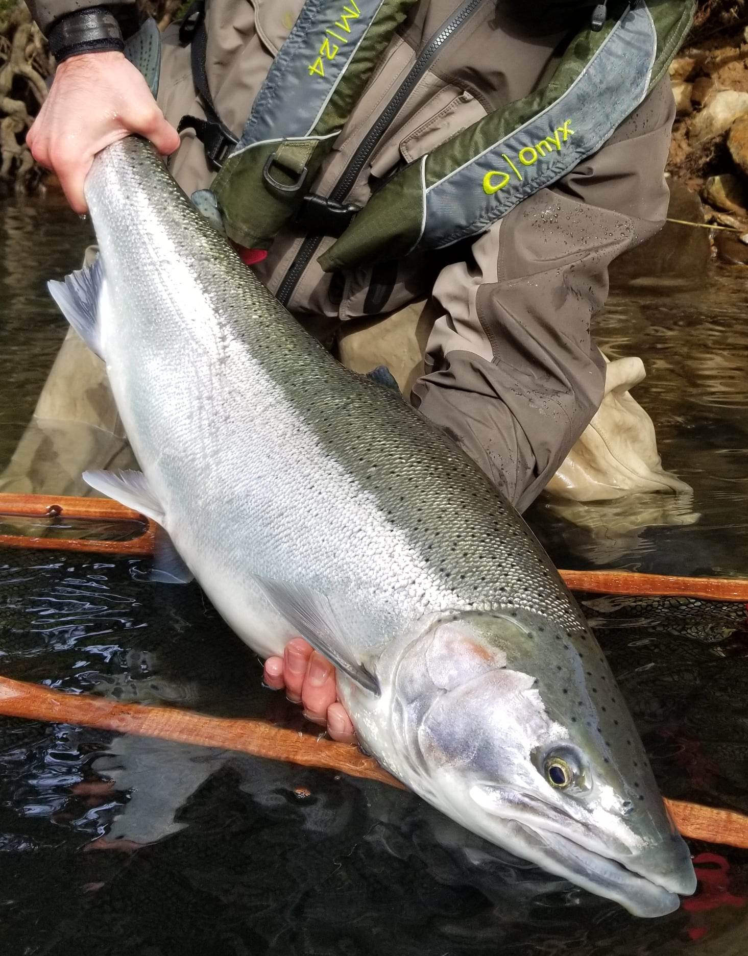 Is Now A Good Time to Fly Fish For Winter Steelhead? – Northwest