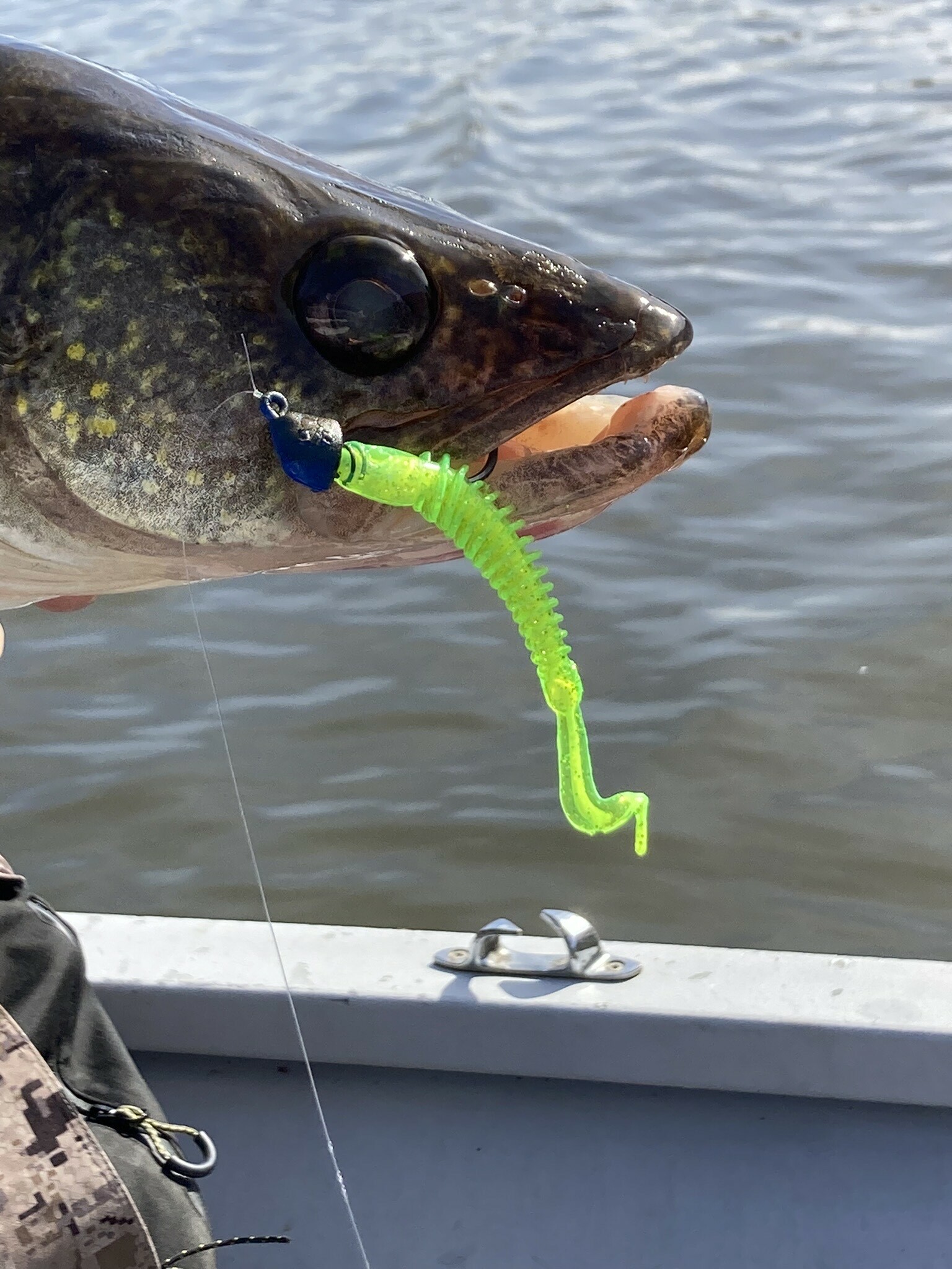 Walleye on Mustad Alpha Point A-Tak Swim Jig Head