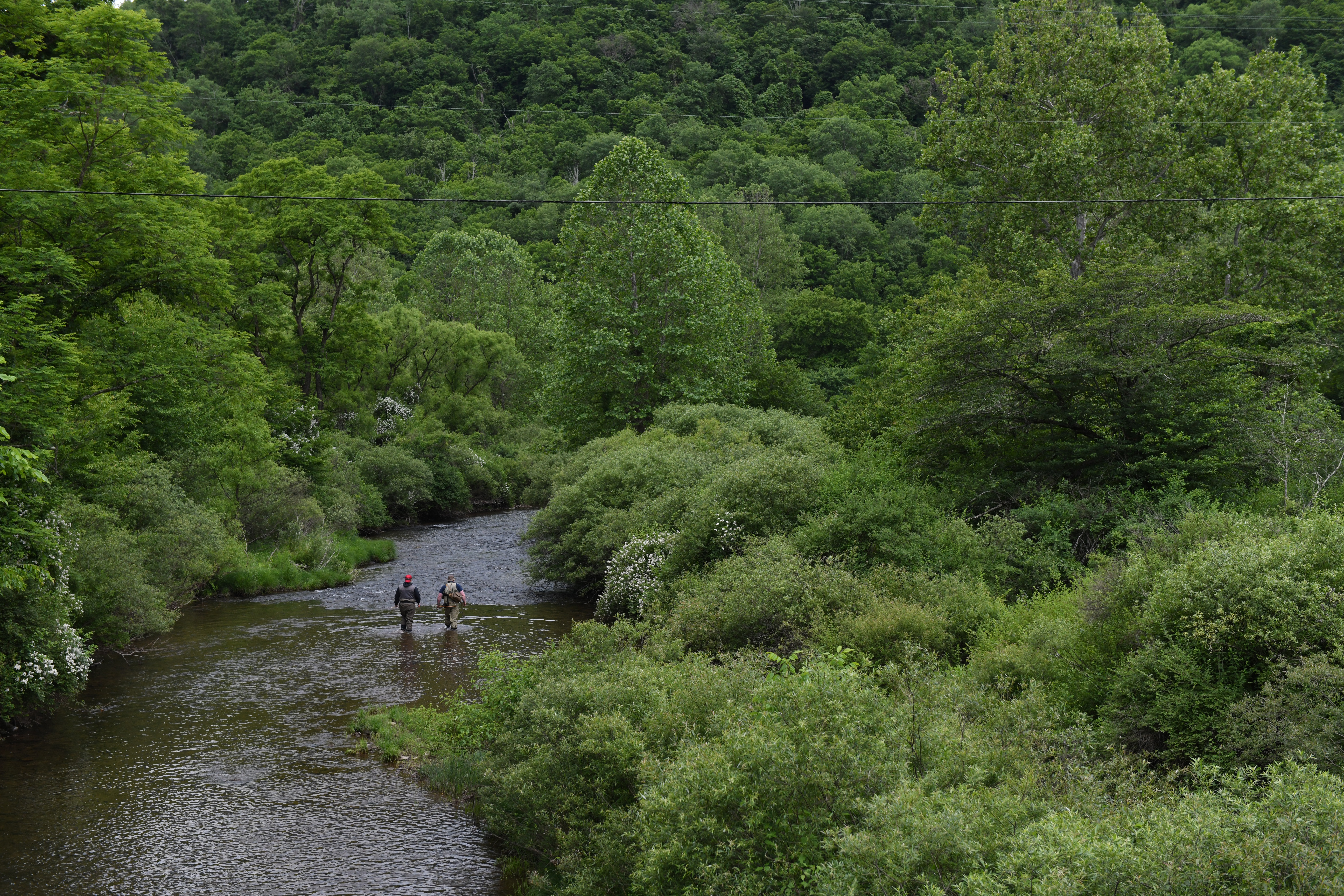Aerial view of a small trout stream showing pocket water, seams, and undercut banks