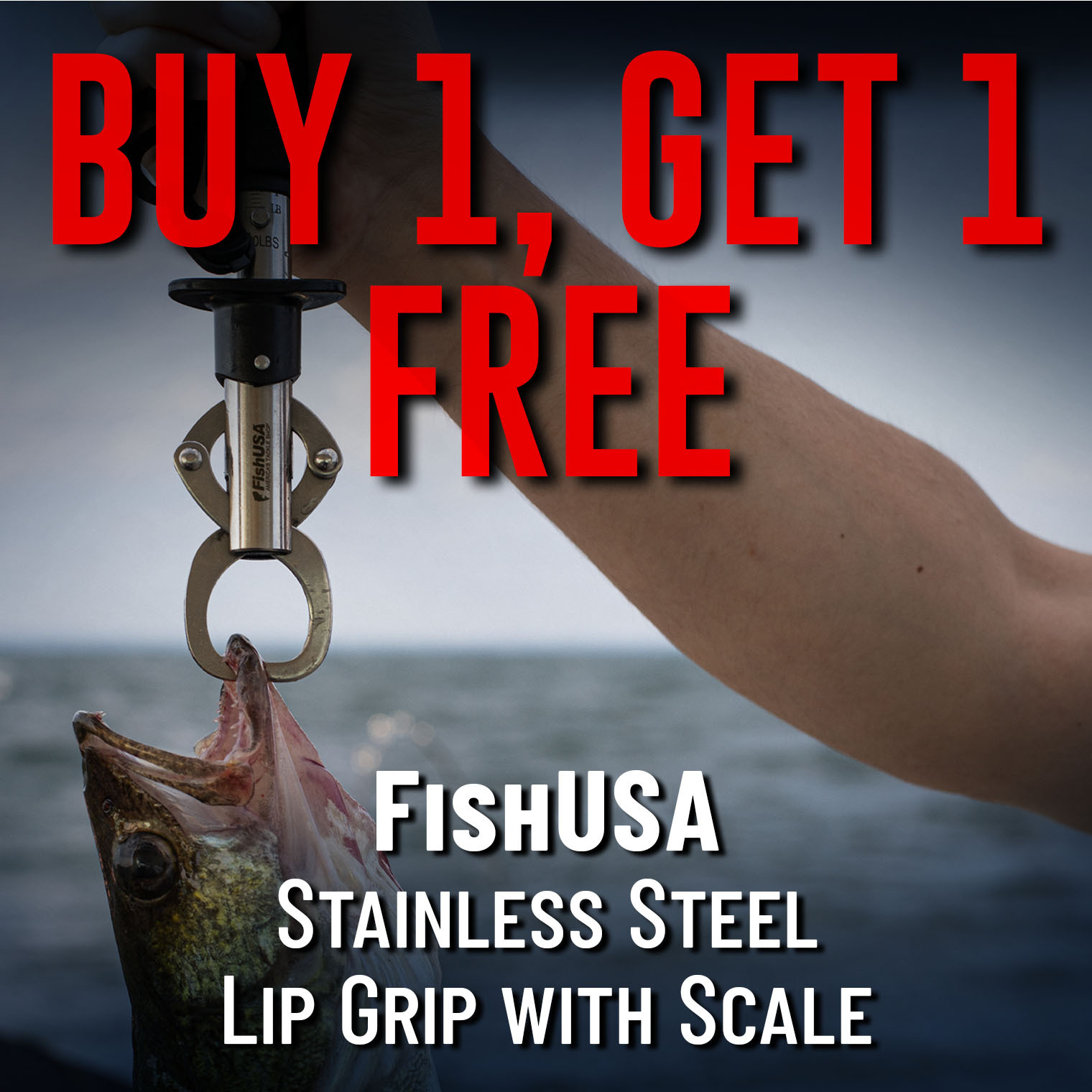 Buy 1, Get 1 Free FishUSA Stainless Steel Lip Grip with Scale 