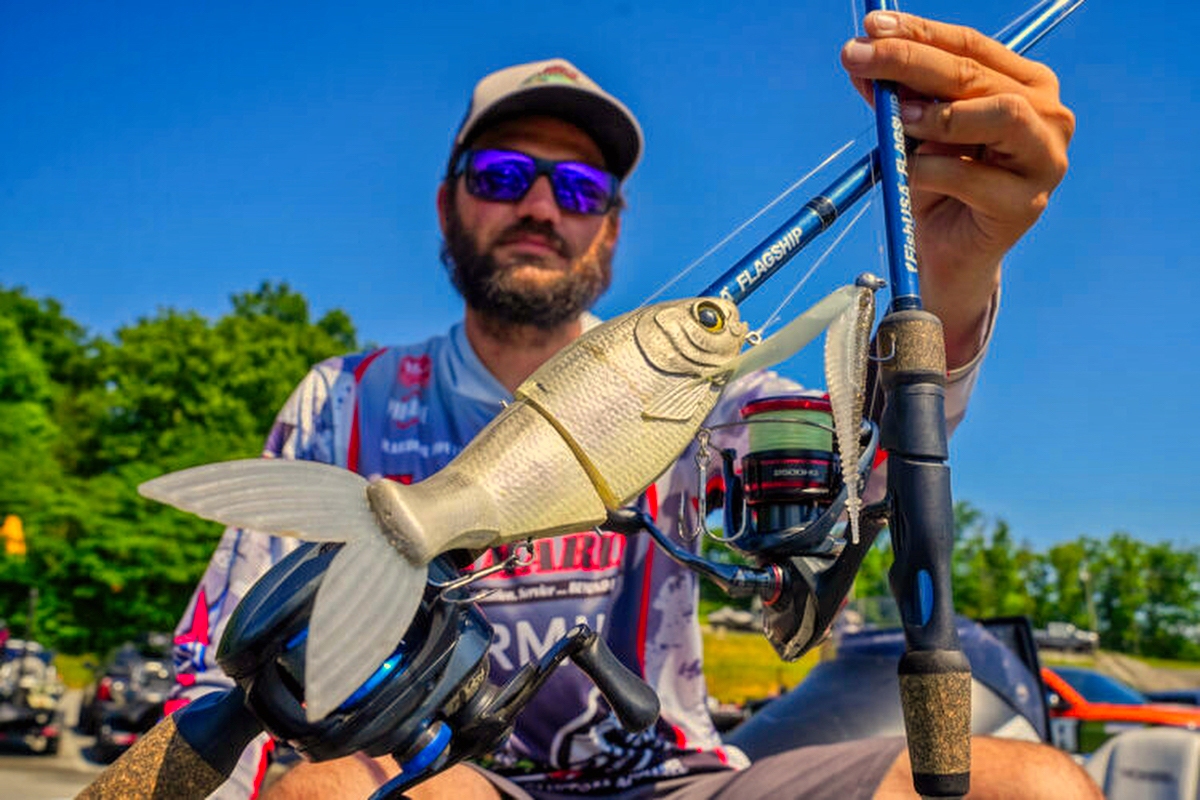 Bucca Bull Shad Live Gizzard swimbait &mdash; the big crankdown swimbait Harbor Lovin used to earn a top-10 MLF finish on Douglas Lake