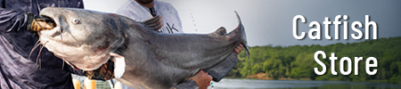 Catfish Tackle & Gear