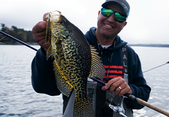 Crappie & Panfish
