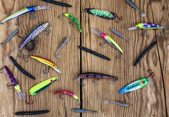 Shop 7 Cm Soft Bird Lure with great discounts and prices online