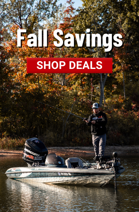 Fall Savings Fall Savings