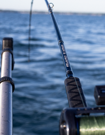 Flagship Rods