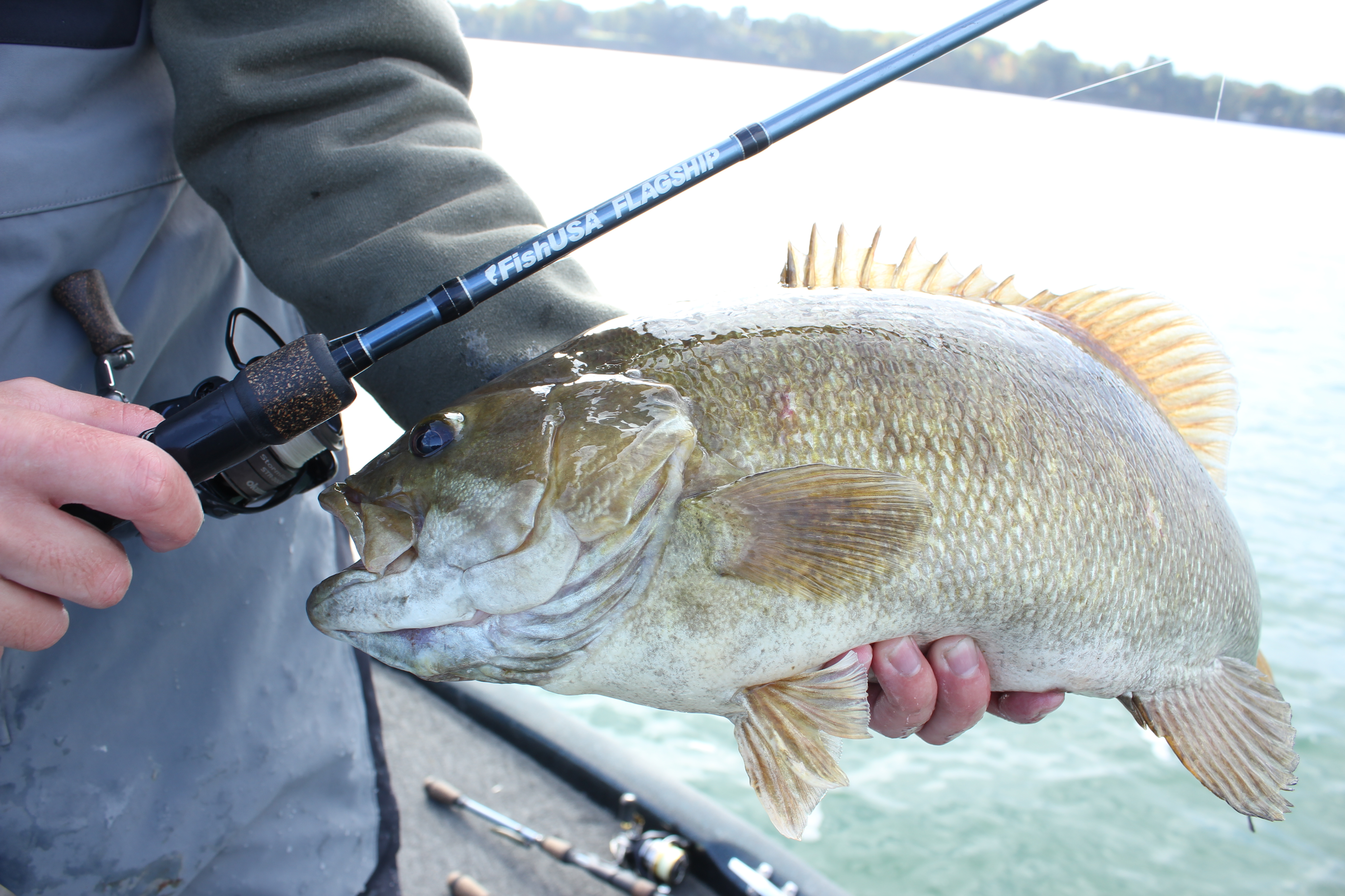 Smallmouth bass with FishUSA Flagship 6'10" medium light extra fast spinning rod