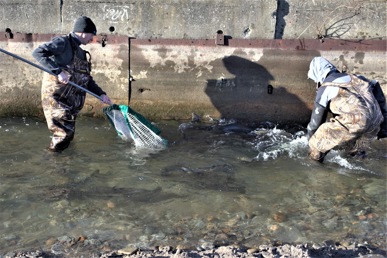 Why a small hook WINS for Great Lakes Steelhead by Roger