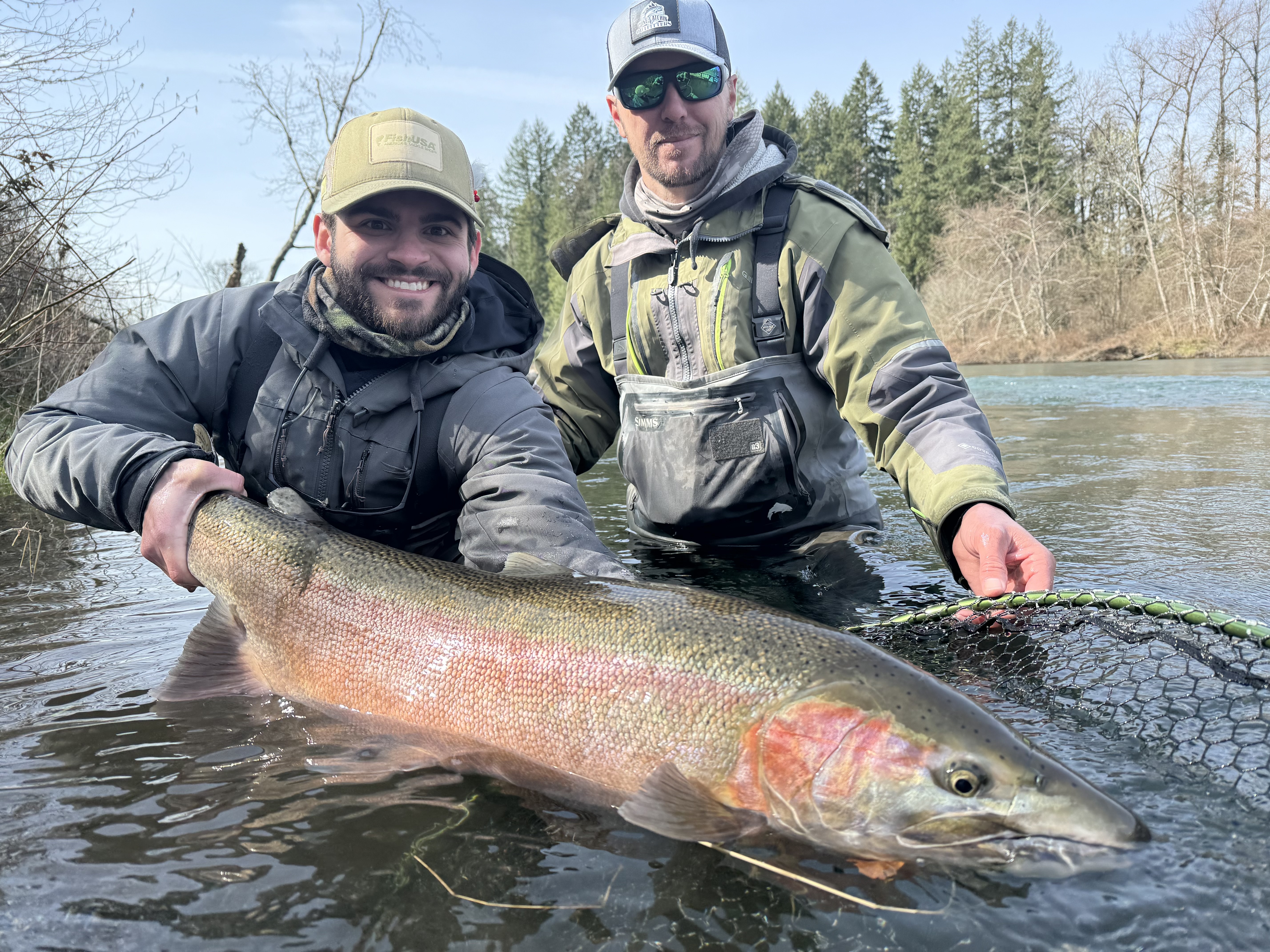 Giant Washington Steelhead caught with Mustad ADX Bead Hook