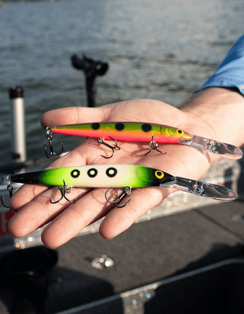Rapala