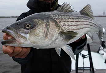 Saltwater Fishing