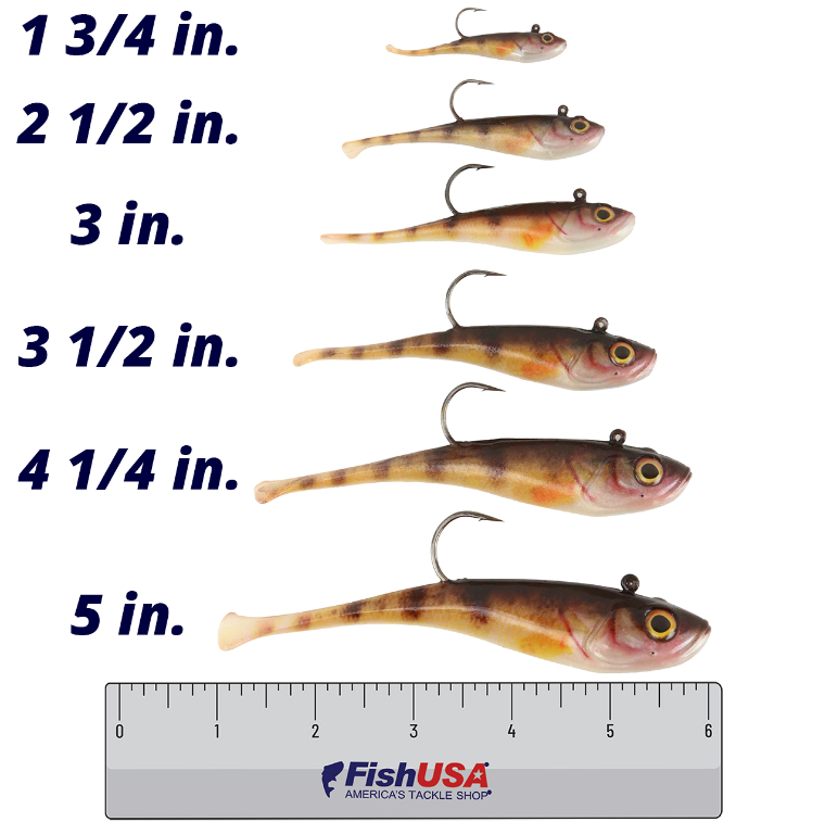 The Top Eight Sonar Minnows For Bass Fishing With Livescope - FishUSA