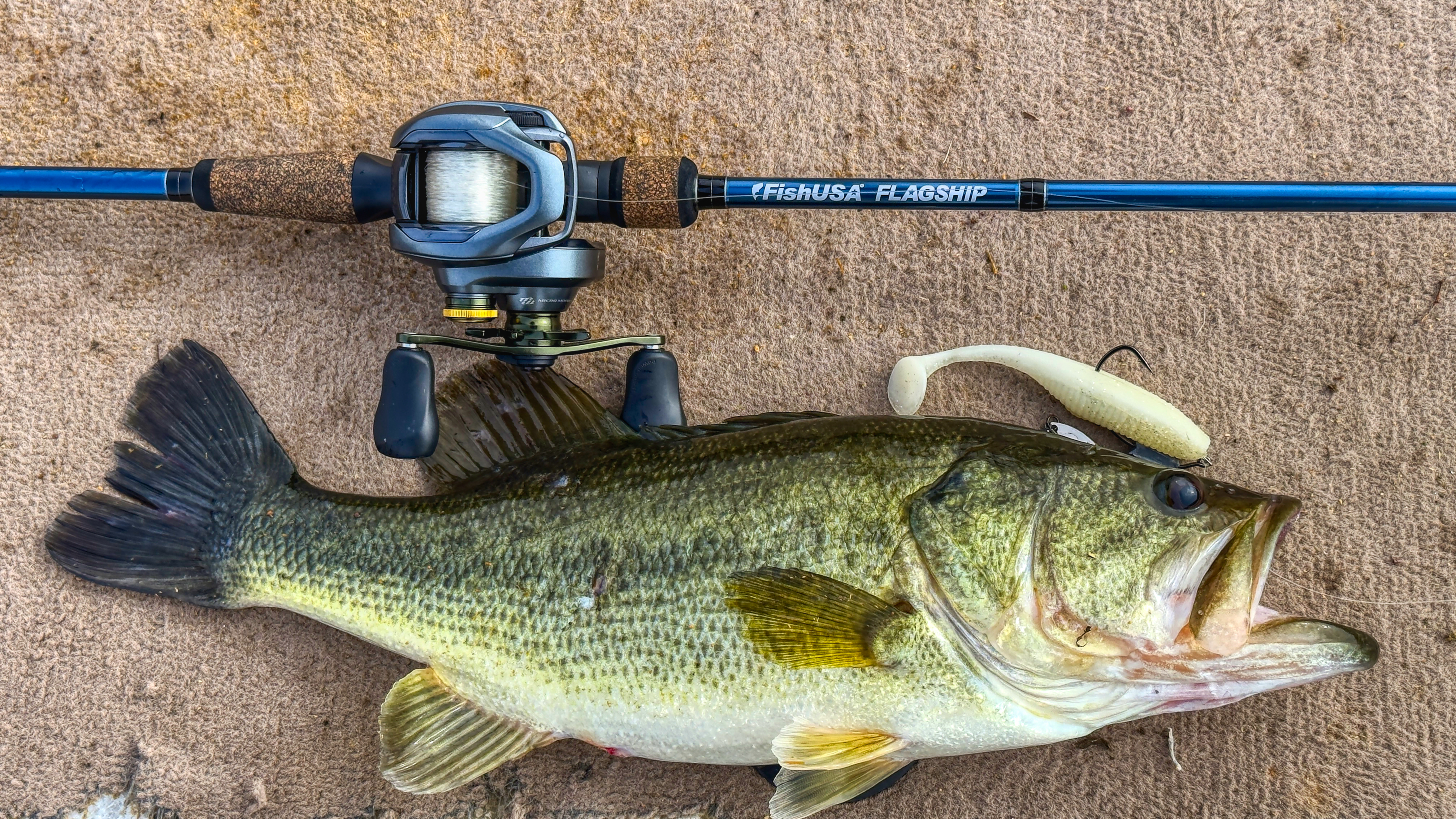 Prespawn largemouth bass caught on a swimbait with FishUSA Flagship rod